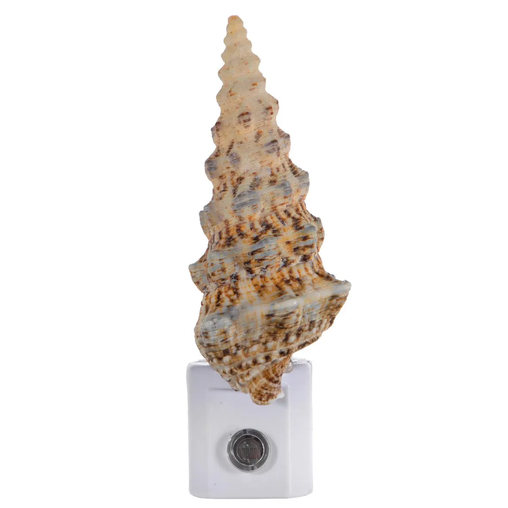 Large Shell Socket Night Lamp With Automatic Sensor